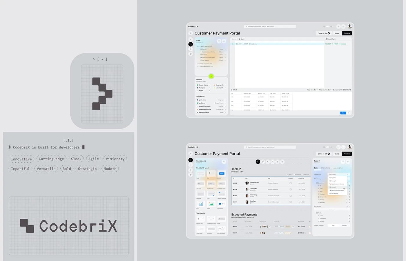 CodebriX product experience detail